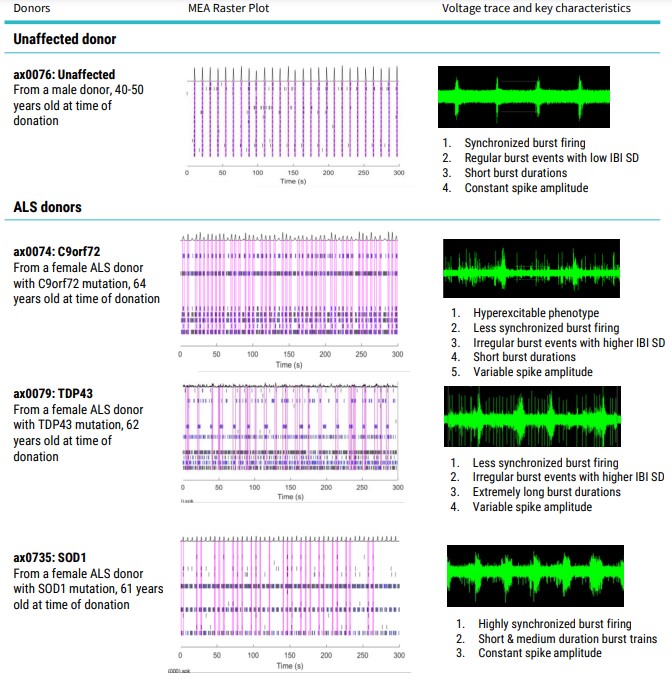 Multielectrode array characterization of human iPSC-derived motor